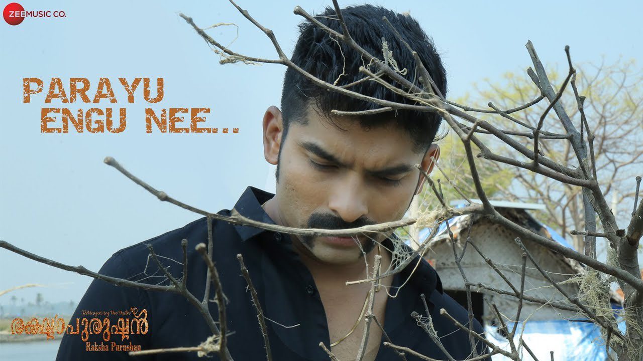 Parayu Engu Nee - Song Cover Image