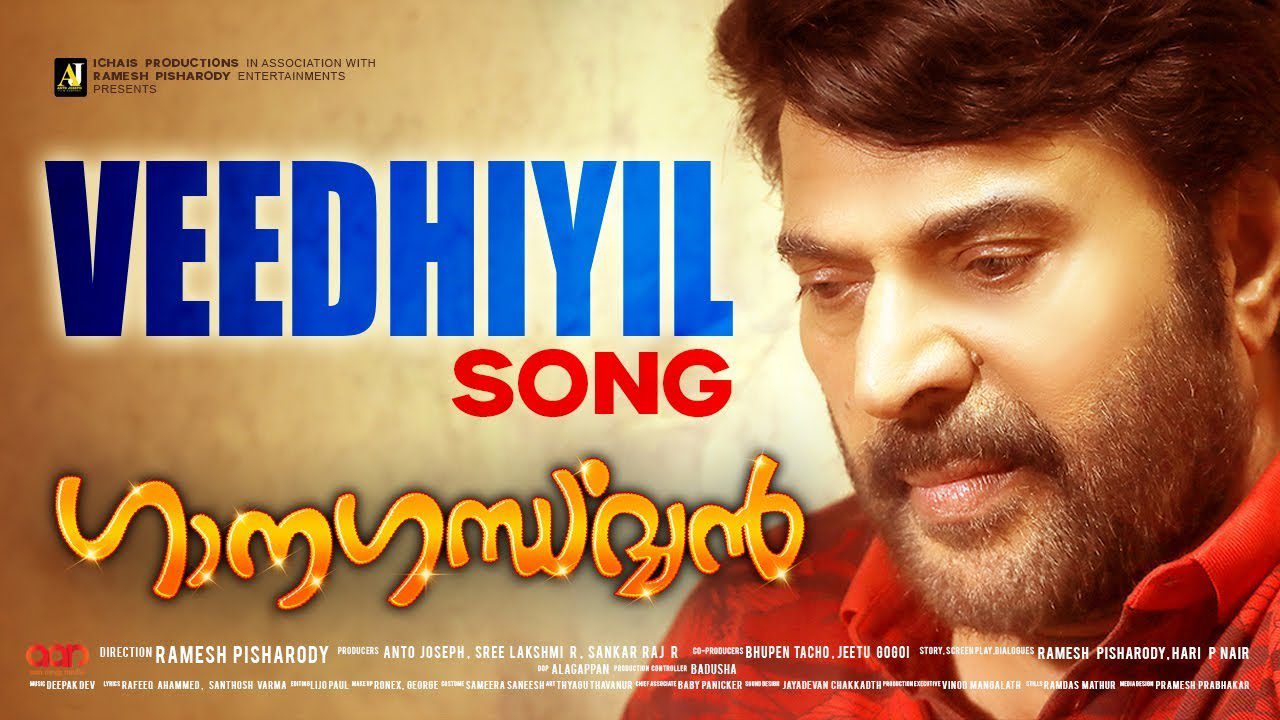 Veedhiyil - Song Cover Image