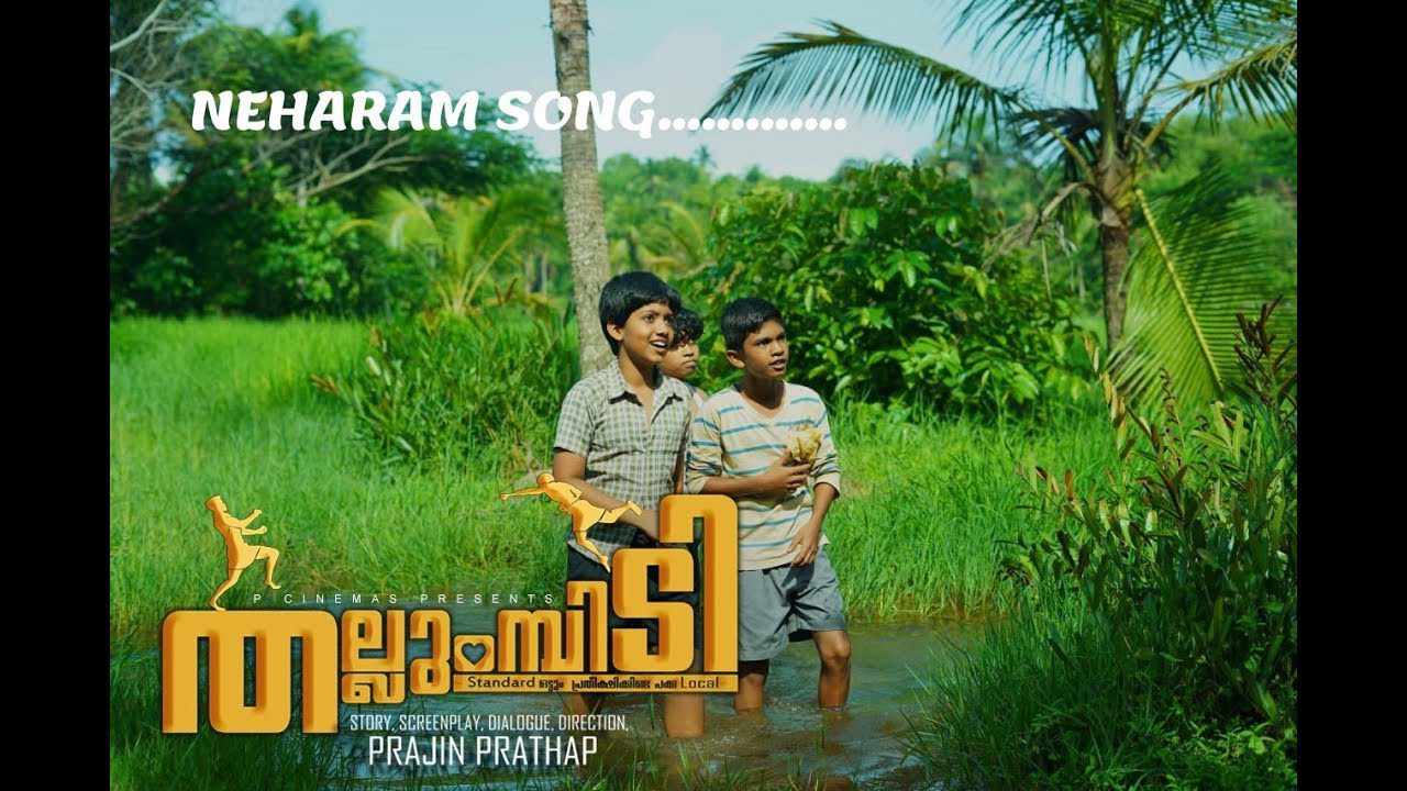 Neeharam - Song Cover Image