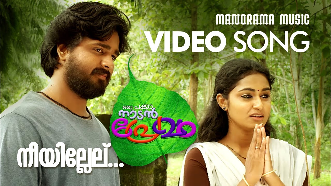Nee Illelu - Song Cover Image