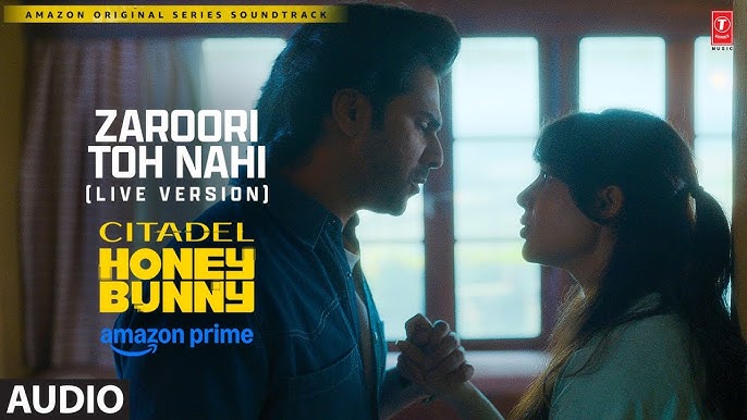 Zaroori Toh Nahi - Song Cover Image