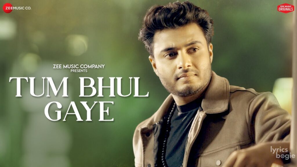Tum Bhul Gaye - Song Cover Image