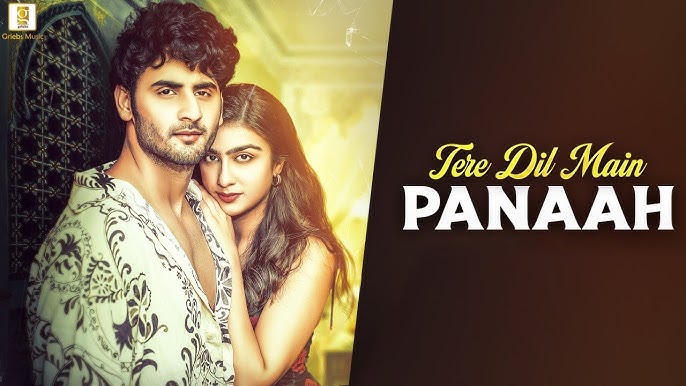 Tere Dil Main Panaah - Song Cover Image